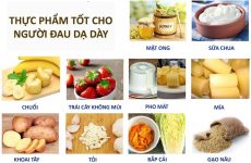 Có nhiều loại thực phẩm tốt cho dạ dày và sức khỏe