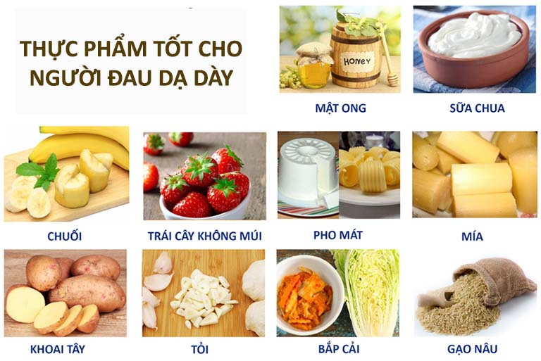 Có nhiều loại thực phẩm tốt cho dạ dày và sức khỏe