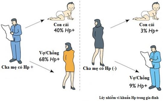 Khả năng lây nhiễm vi khuẩn HP trong gia đình